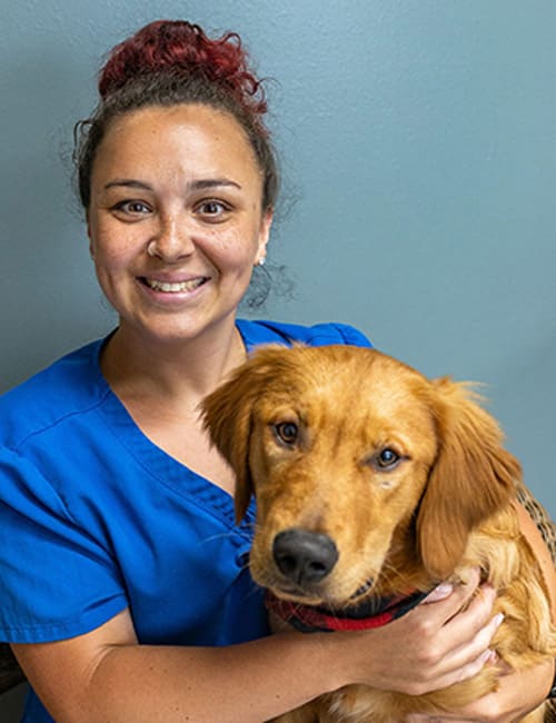Dr. Jasmine Houska, New Ulm Veterinarian